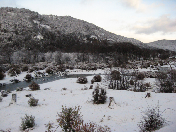 Mais alvo do que a neve...